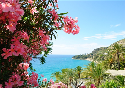 The Italian Riviera: The Lower Trail